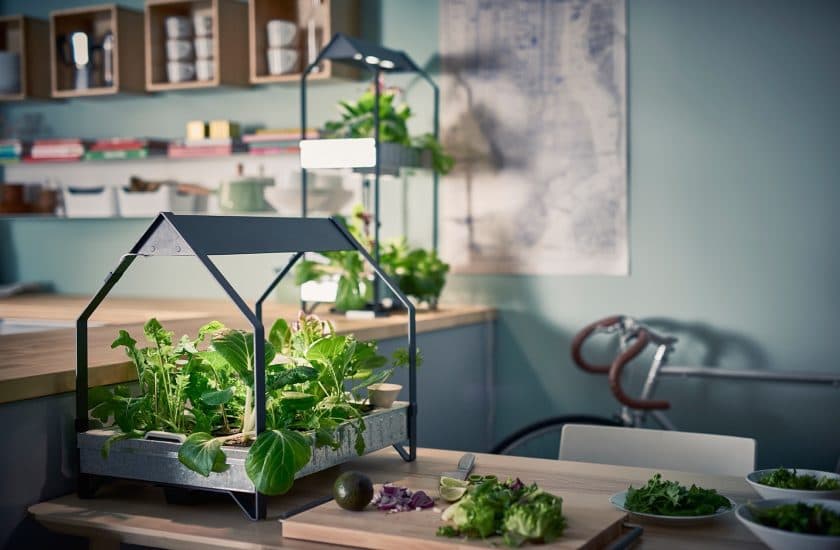 développement durable et ikea collection