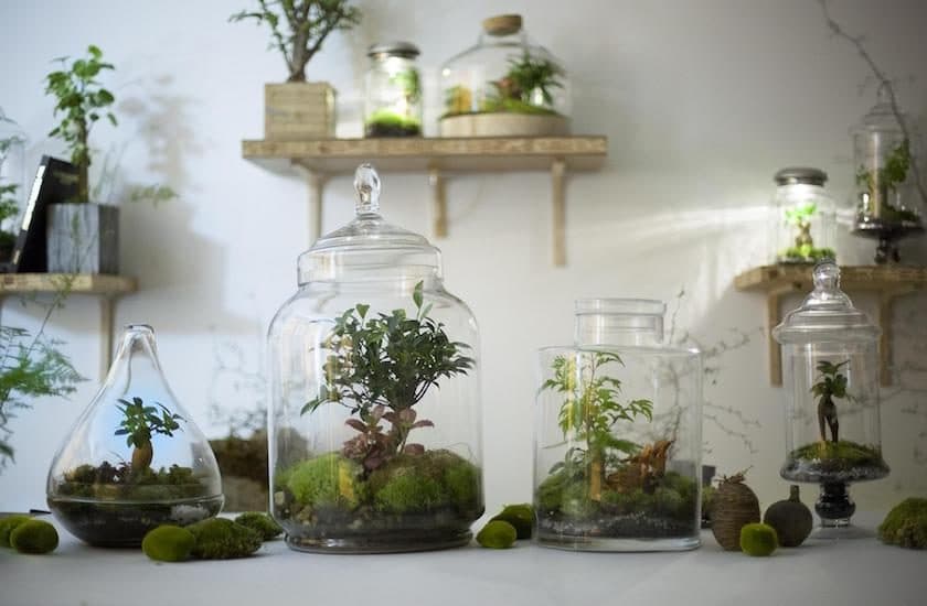 Green Factory les jardins autosuffisants de Noam Levy