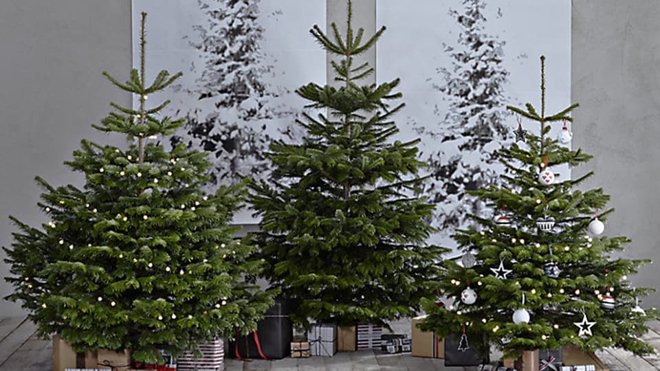 Clem Around The Corner - Sélection Noel