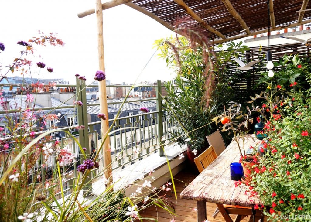 plantes balcon exposition sud paris original fleurs - blog déco - clem around the corner