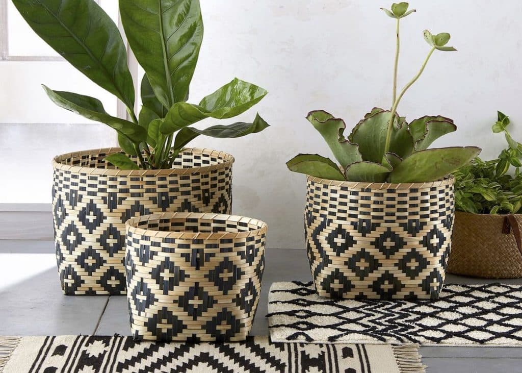 panier de rangement cache pot bicolore noir marron plante verte - blog déco - clem around the corner