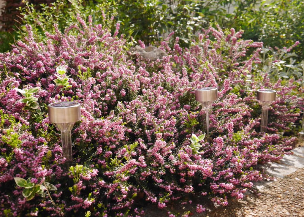 éclairer son extérieur avec les lampes solaires Nortene - blog déco - clemaroundthecorner