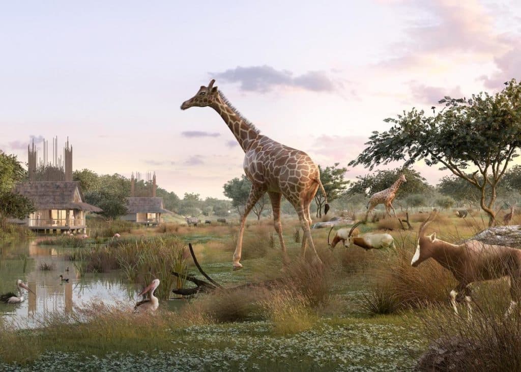 planète sauvage girafe pélican blanc safari lodge sur pilotis - blog déco - clemaroundthecorner