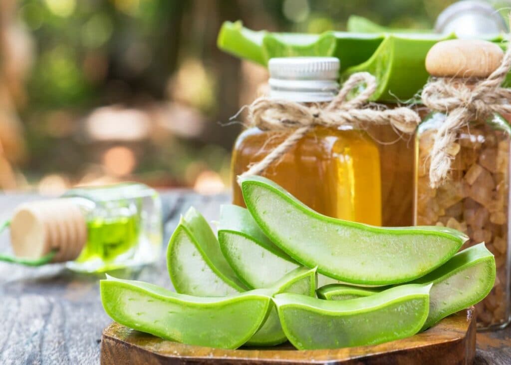 bienfaits aloe vera conseils astuces soin maison naturel corps cheveux organisme