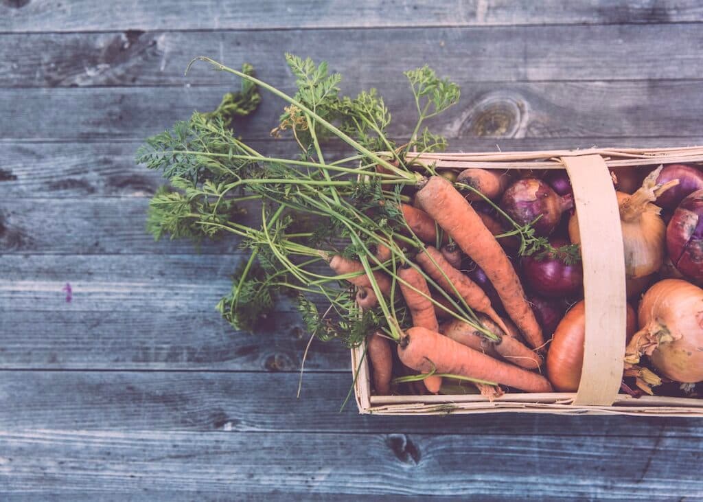 potager en ville culture légume fruit balcon terrasse - blog clem around the corner