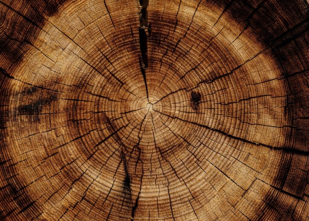 nature et Découvertes Église de Scientologie lien rumeur fondation 25 ans