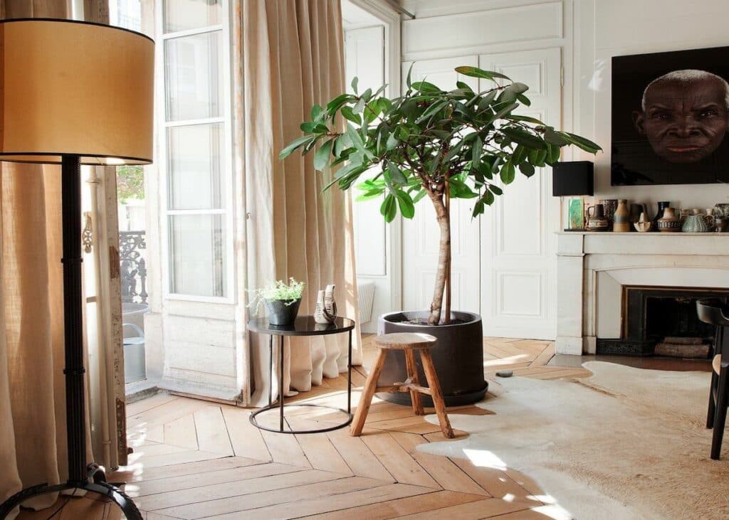 salon lumineux parquet bois tapis peau animaux