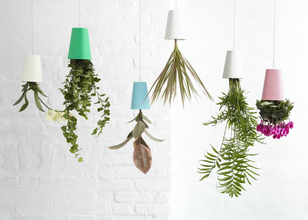 jardinière suspendue salon cache-pot renversé - blog déco - clemaroundthecorner