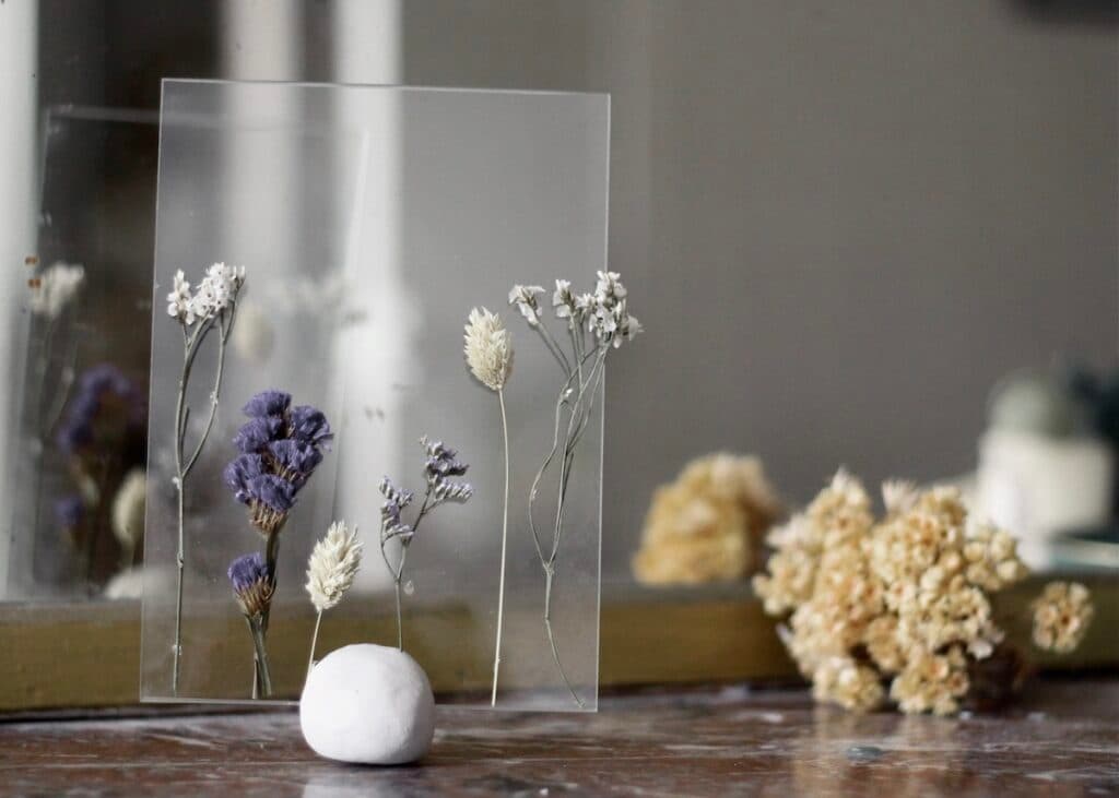 herbier mural diy - blog déco - clem atc