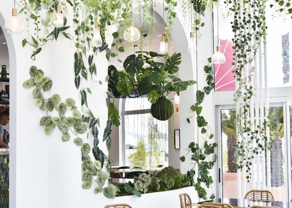 deco interieure plante grimpante interieur lumineux vegetal