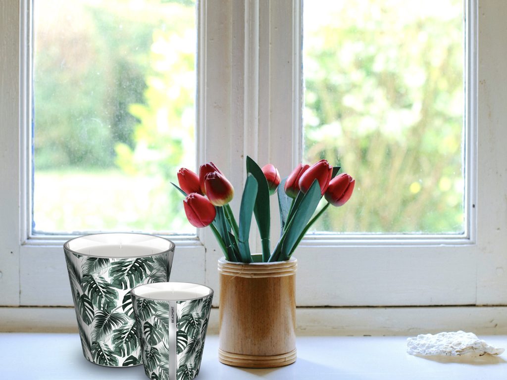 déco bucolique bougie beaumont clip it urban jungle monstera