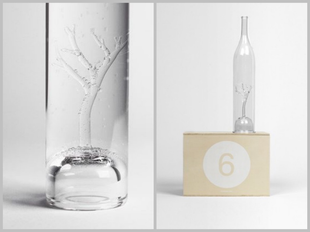 designer box n°6 - Tree for 2 - design, Marianne Guedin.