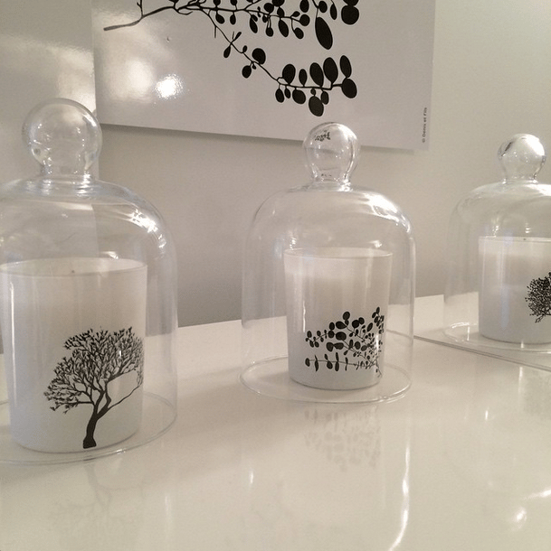 Bougies senteur arbre eucalyptus santal  création Élisabeth de Feydeau nez Guerlain