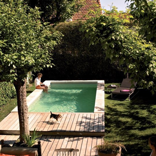 piscine dans un petit jardin en ville