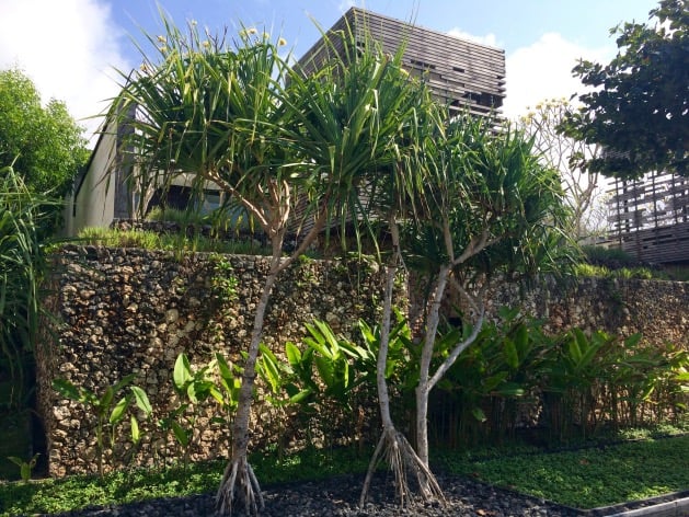 alila villas uluwatu et la nature tropical