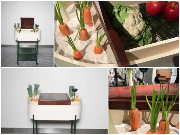 comment créer un garde manger conservation naturelle sable légume îlot Audrey Bigot