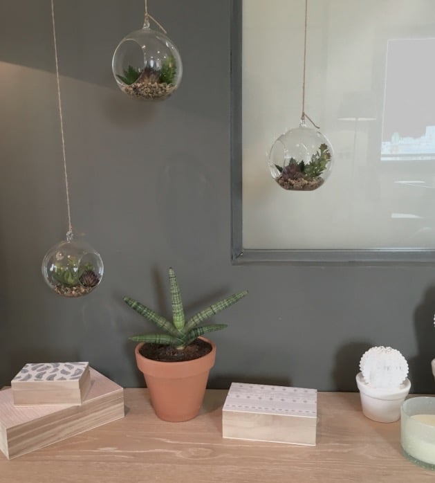 fausse plante conforama