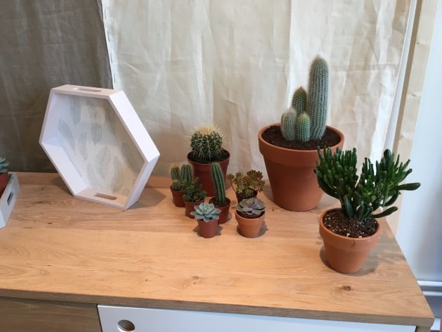 conforama printemps été 2016 plateau hexagonal