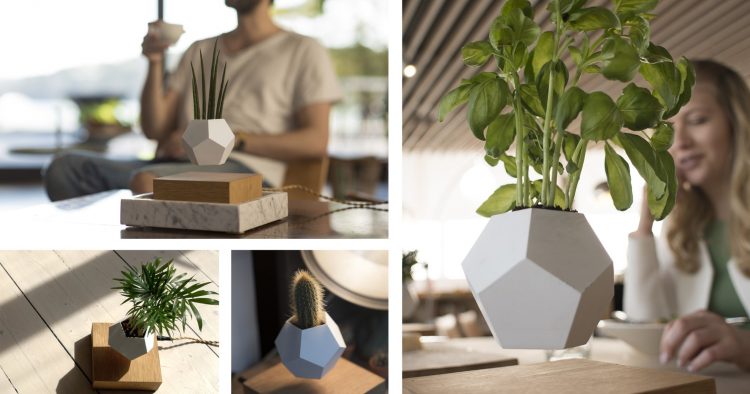 lampe FLYTE Lyfe pot fleur en levitation