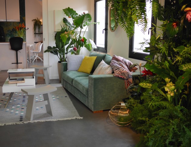 caoutchouc plante déco salon urban jungle blogger