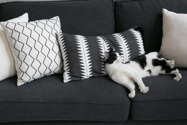 Appartement et salon gris et blanc visite décoration canape noir graphique