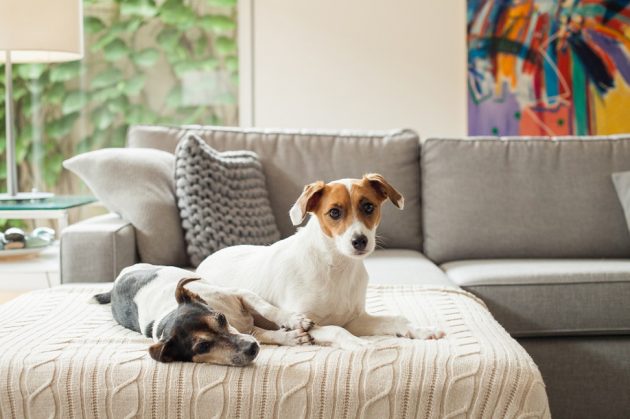 La maison de Chris Francini vue par Westwing