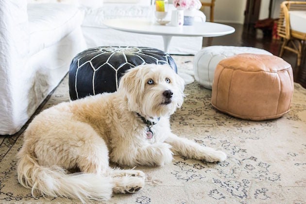 Visite appartement SFGirlbyBay Los Angeles