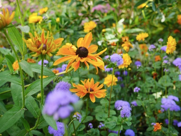 tricot we are knitters avis test