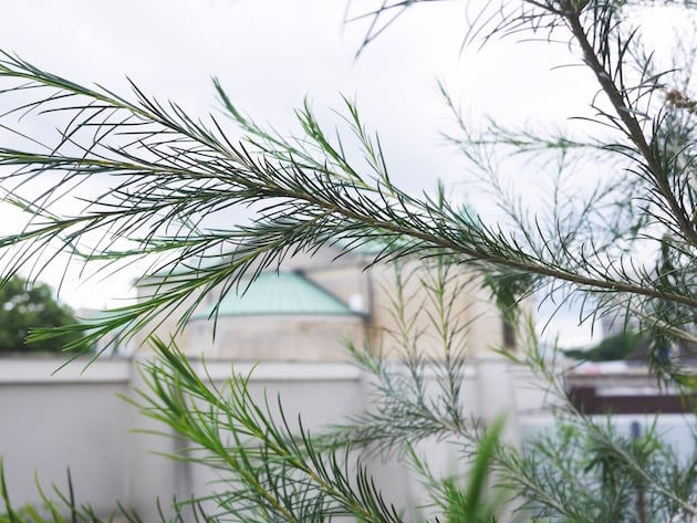 balcon parisien bien décoré et équipé Fermob
