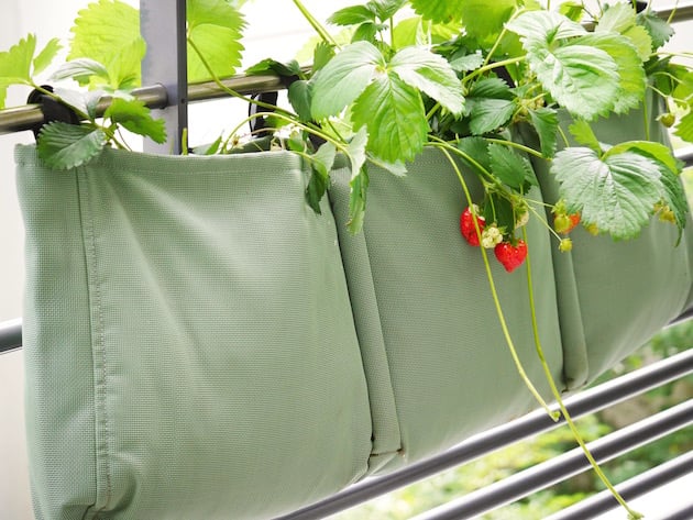 balcon parisien bien décoré et équipé Fermob