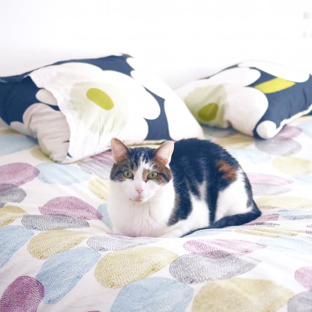 appartement deco mix and match paris