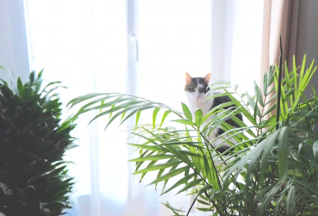 appartement deco mix and match paris