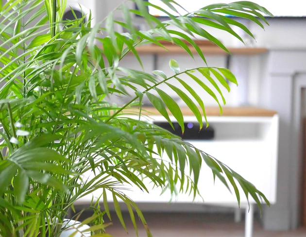 appartement deco mix and match paris