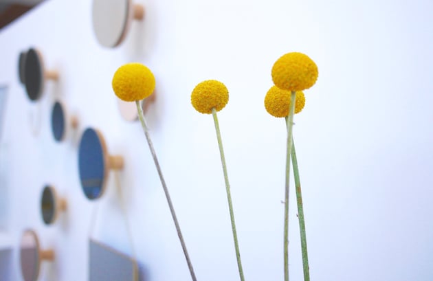 coming b design français showroom longjumeau