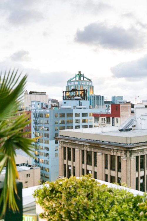 Urban jungle colorée appartement fluo multicolore