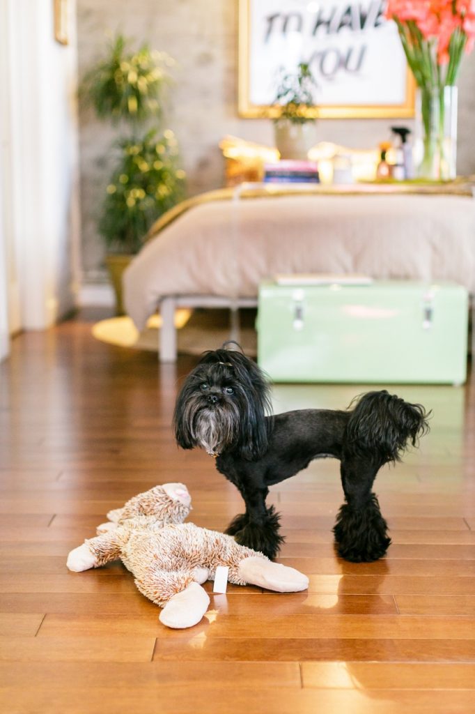 Urban jungle colorée appartement fluo multicolore