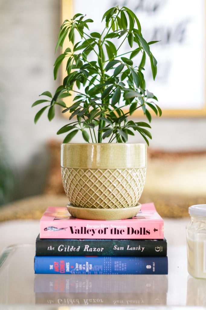 Urban jungle colorée appartement fluo multicolore