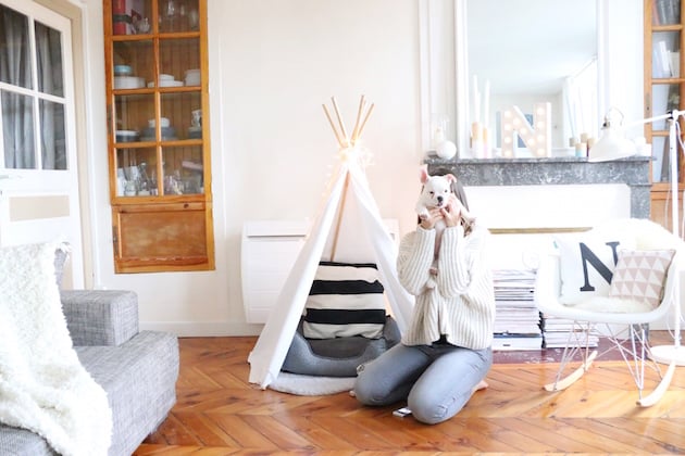 idee deco tipi pour chien
