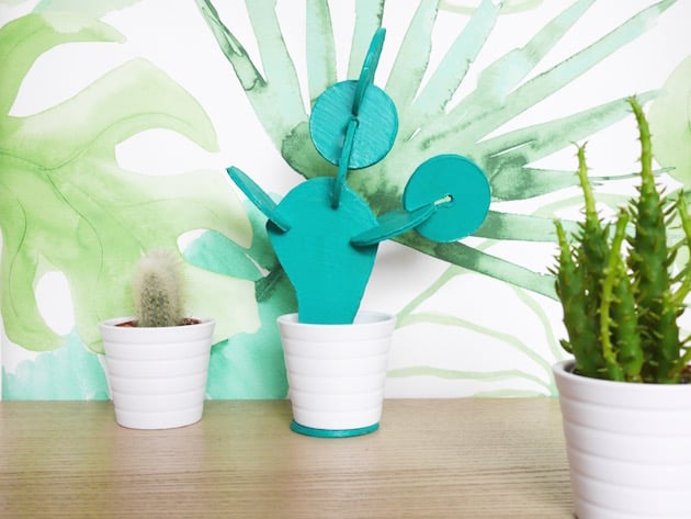 Cactus dessous de verre DIY clematc