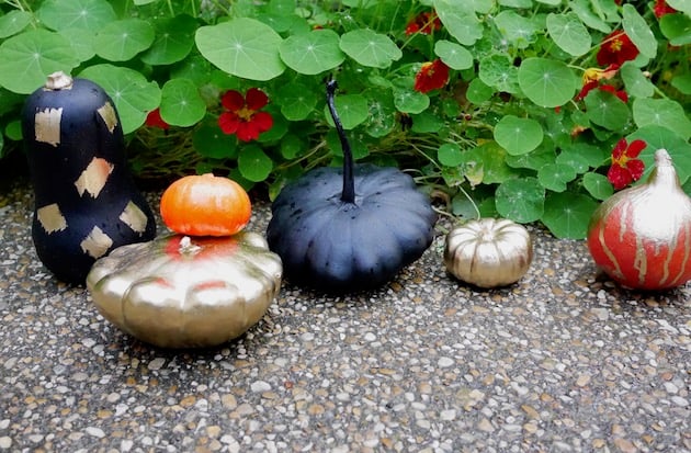 alternative à la citrouille Halloween diy decoration courge peinte
