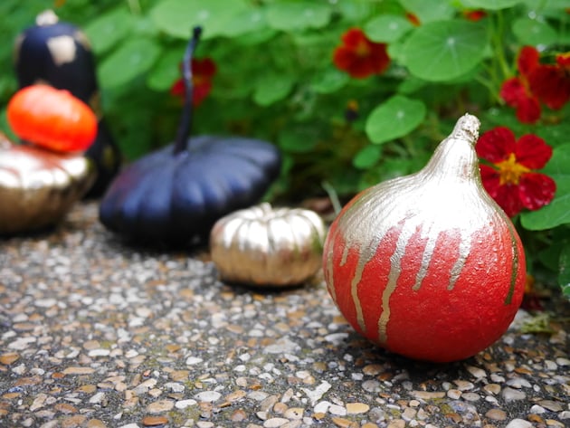 alternative à la citrouille Halloween diy decoration courge peinte