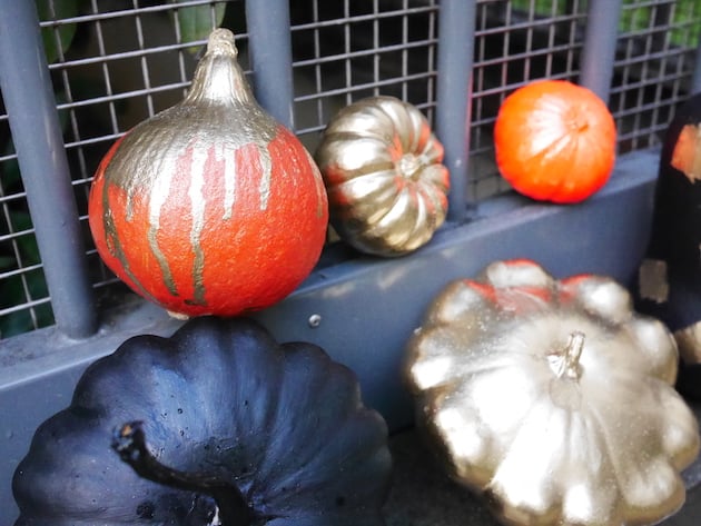alternative à la citrouille Halloween diy decoration courge peinte