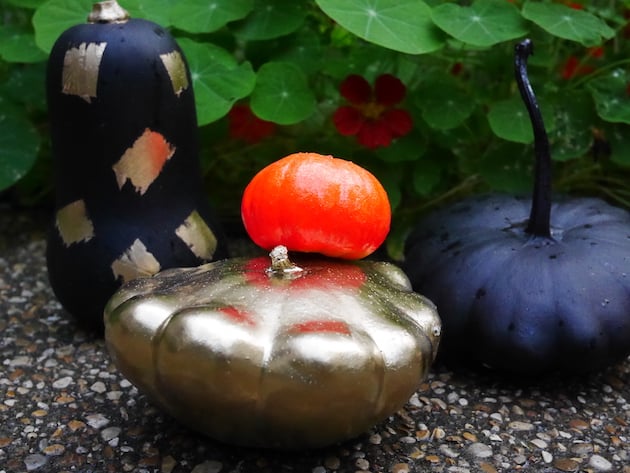 alternative à la citrouille Halloween diy decoration courge peinte