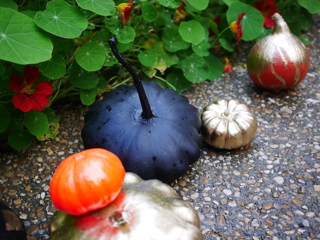 alternative à la citrouille Halloween diy decoration courge peinte