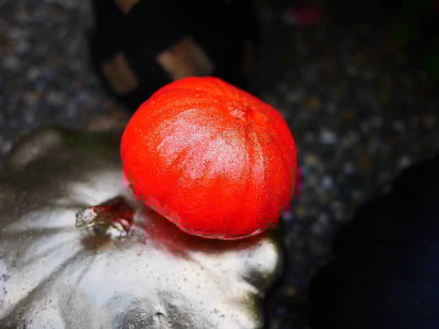alternative à la citrouille Halloween diy decoration courge peinte