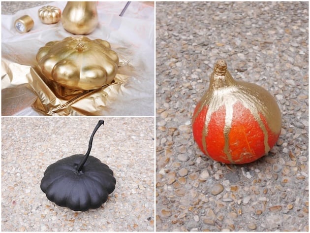 alternative à la citrouille Halloween diy decoration courge peinte