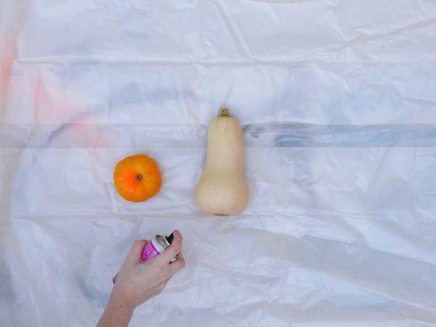 alternative à la citrouille Halloween diy decoration courge peinte