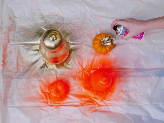 alternative à la citrouille Halloween diy decoration courge peinte