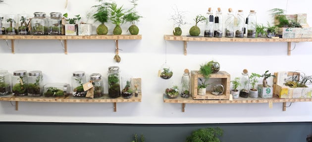 Green Factory les jardins autosuffisants de Noam Levy