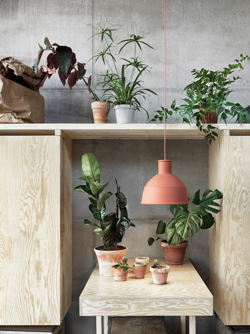 suspension lampe terracotta plante salon muuto